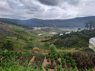 Bán trang trại khu nghỉ dưỡng tại đường mimosa, p10, đà lạt, lâm đồng, 66 tỷ, 21062.47m2