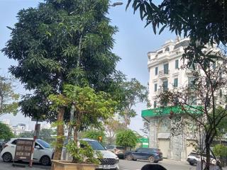 Bán nhà gần thanh hà khu b2.2, trục cienco, dt 81m2, 5 tầng thang máy, nội thất ở ngay, giá 15 tỷ