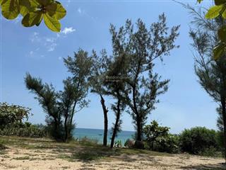 Bán đất view trực diện biển tam thanh 500m2 17,5 tr/ m2