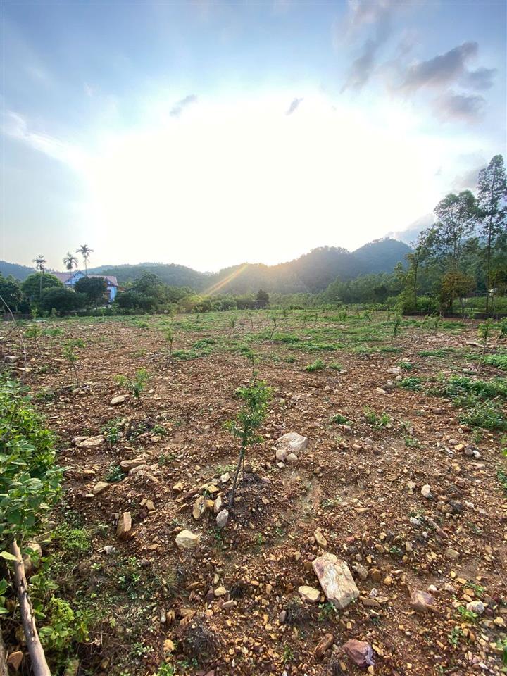 Bán trang trại khu nghỉ dưỡng ngọc thanh(phường xuân hòa mới) siêu rẻ chỉ 3,5 triệu/m2, 3535,6 m2