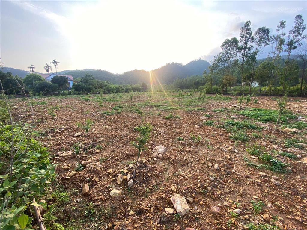 Bán trang trại khu nghỉ dưỡng ngọc thanh(phường xuân hòa mới) siêu rẻ chỉ 3,5 triệu/m2, 3535,6 m2