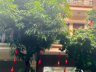 Siêu đẹp lk tổng cục 5 bca tân triều trục chính kd phân lô vỉ hè ô tô tránh 70m*5t*4mt 23,9 tỷ..