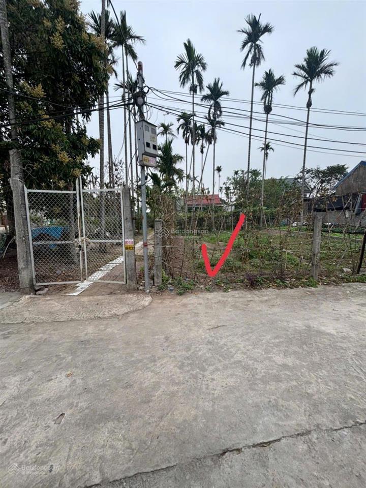 Bán đất xuân đài 2, trường thọ, an lão, hải phòng. chính chủ gửi bán lô đất đẹp sát vách kcn