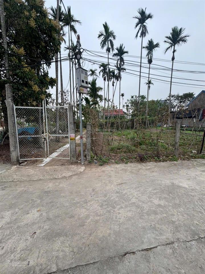 Bán đất xuân đài 2, trường thọ, an lão, hải phòng. chính chủ gửi bán lô đất đẹp sát vách kcn