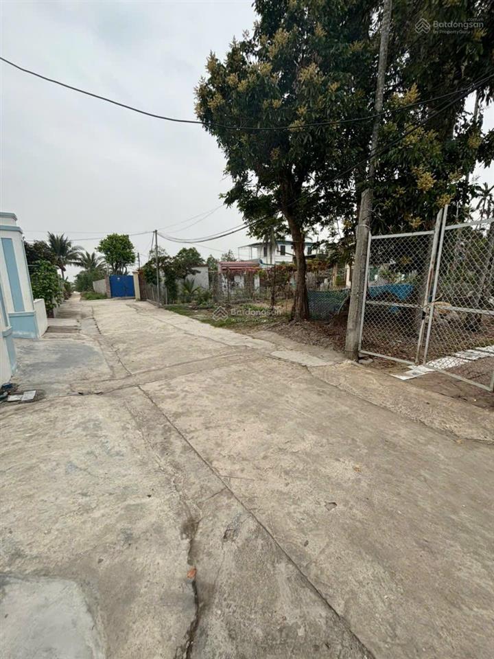 Bán đất xuân đài 2, trường thọ, an lão, hải phòng. chính chủ gửi bán lô đất đẹp sát vách kcn