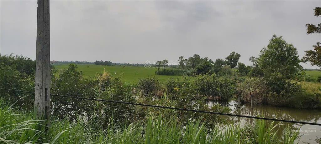Đất đẹp giá tốt 2.500m² có 170m² thổ cư ngay gò công, gần vàm láng chỉ 5 tỷ!
