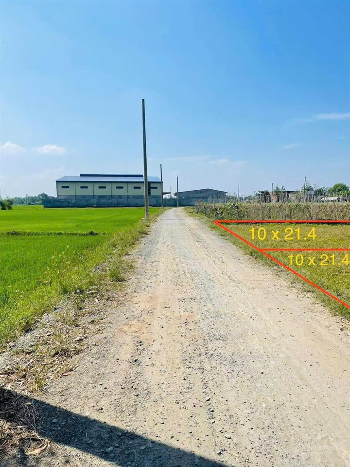 Bán đất đức hòa long an|giá tốt sổ riêng đầu tư an toàn! 214m2/800tr. gần trung tâm hậu nghĩa