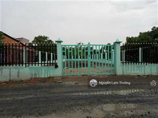 Chính chủ cần bán gấp lô đất vườn quy đức, bình chánh, diện tích 10x42m2/420m2 giá 820 triệu. shr