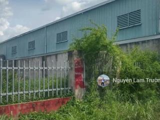 Chính chủ cần bán gấp 2 lô đất vườn thơm bình lợi, bình chánh. dt 5,2x30m2/156m2 giá 790 triệu. shr