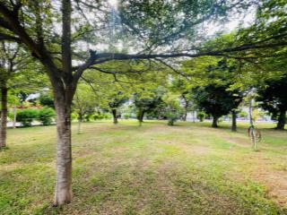 Đất biệt thự sông giồng ông tố không khí mát mẻ bốn mùa, liền kề chung cư the sun avenue, 103m2