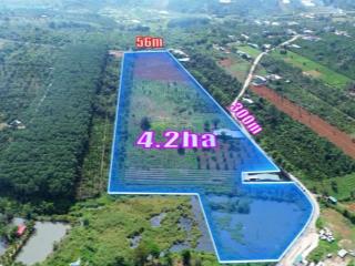 Bán trang trại, khu nghỉ dưỡng tại đắk rmoan, gia nghĩa, đắk nông, 10 tỷ, 36000m2