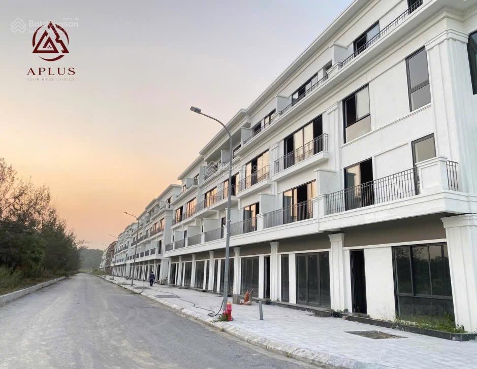 Tổng hàng flc tropical giá chỉ từ 16tr/m đất  vào tiền chưa tới 2,4 tỷ