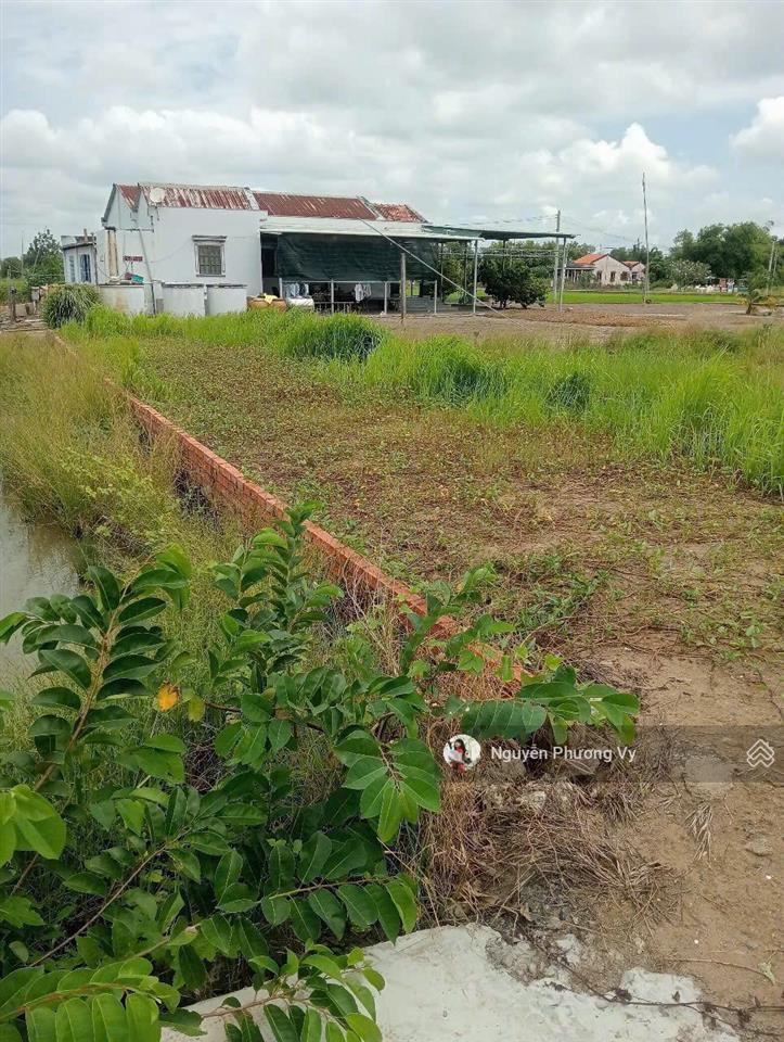 9 lô đất tại ấp đồng tâm, xã long trạch, huyện cần đước, 126m2, 870 triệu, shr