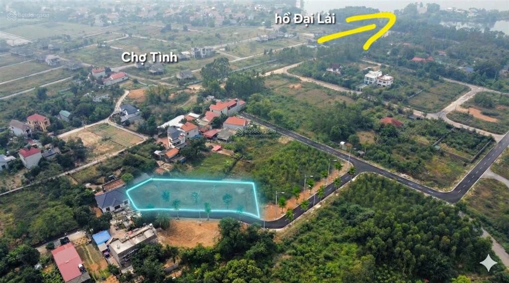 Bán đất khu đấu giá chợ tình 11 lô đất xuân hòa, phú thọ (ngọc thanh, phúc yên, vĩnh phúc cũ)
