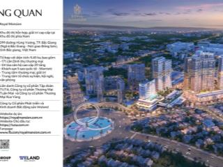 Sở hữu căn hộ cao cấp 2 phòng ngủ royal mansion bắc giang giá chỉ 3 tỷ, vị trí trung tâm tp