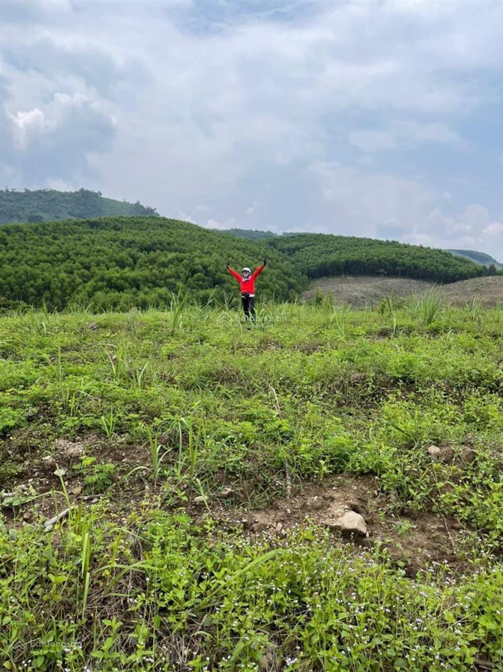 Bán đất chính chủ khánh nam khánh vĩnh