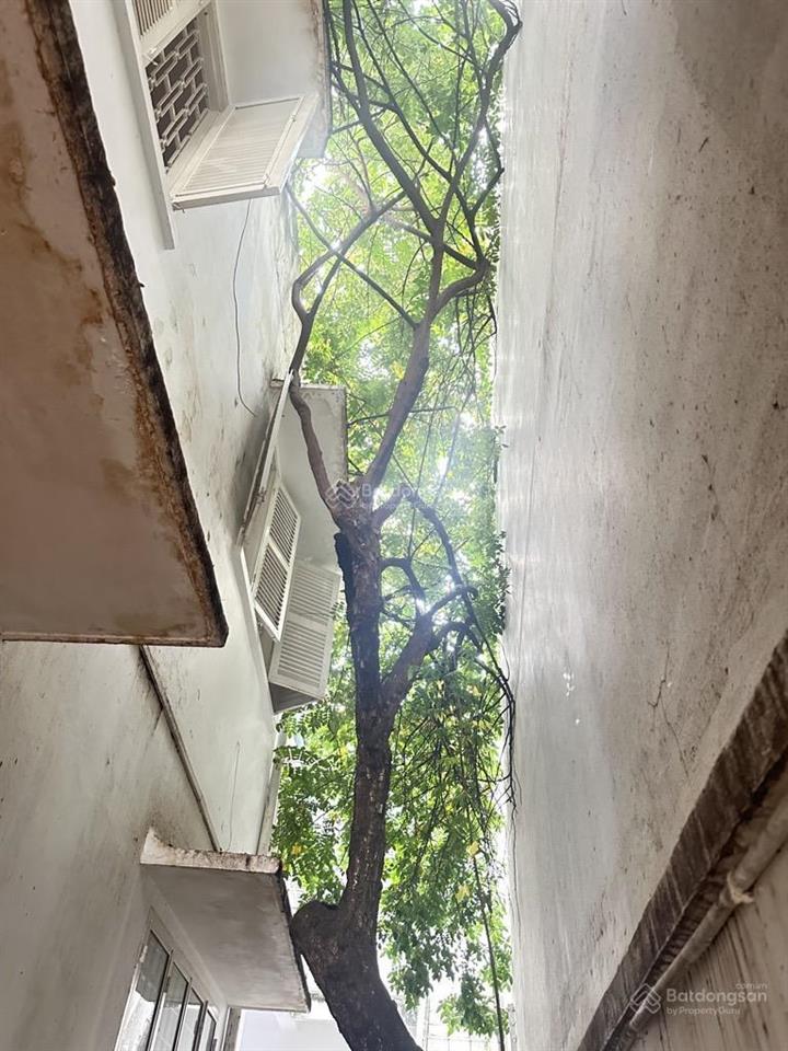 Nhà hiền vương xưa  võ thị sáu nay  205 m2 đất phường tân định  mua đất được nhà xưa! giá 42 tỷ.