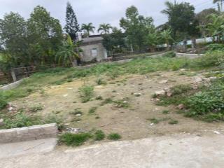 Bán 312,4 m2 Đất An Duyên, Đại An, Nam Định