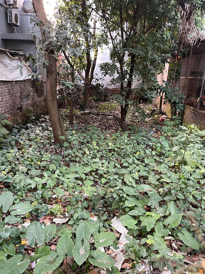 Đất an dương vương tây hồ, 10m ra phố, diện tích lớn, xây tòa cho thuê, chdv, ccmn, xây ở cực sướng