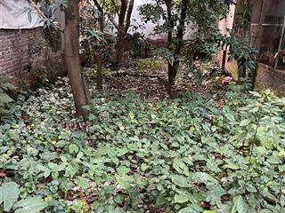 Đất tây hồ (an dương vương) 100m 27tỷ mt6,4m, cạnh citputra, oto thông nhiều ngả, sổ nở hậu đẹp