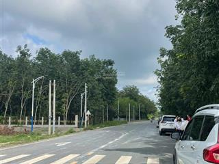 Đất nền bán tại cao bá quát, hưng long, chơn thành, bình phước, giá cực chất chỉ với 1,05 tỷ, 184m2