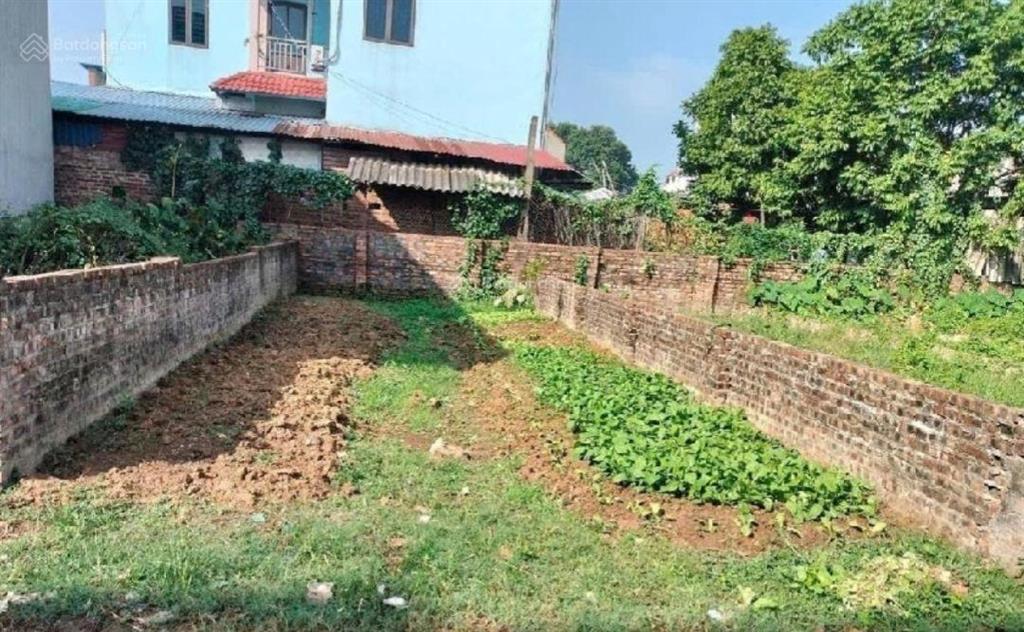 Bán đất phố yên, mê linh mặt tiền rộng, gần đường lớn, tiềm năng tăng giá cao