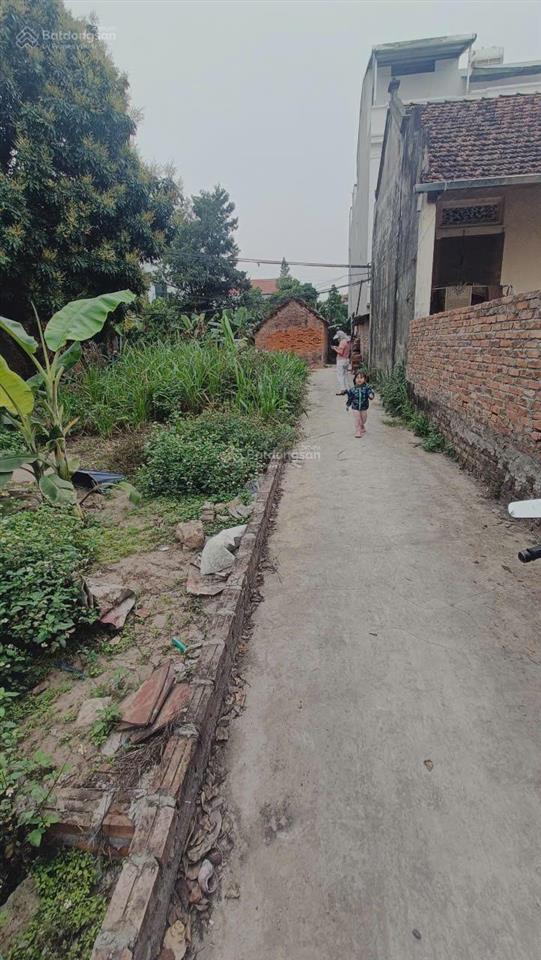 Chính chủ bán lô đất đẹp tiền lệ, tiền yên, hoài đức