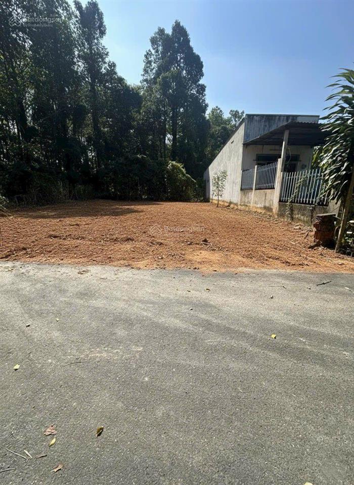 Bán đất đường tỉnh lộ 15, dt 5x30m, 1 tỷ 250 triệu, shr, thổ cư, công chứng liền