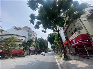 Mặt phố huế phố vip  giá đầu tư  819m2  mặt tiền 32m  420 tỷ  trung tâm phố cổ