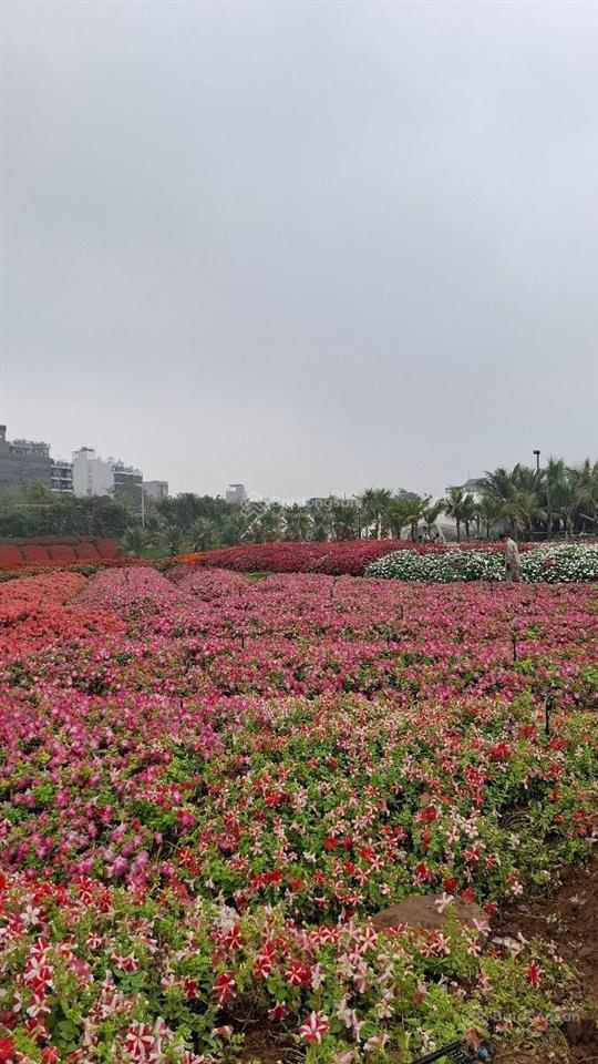 Siêu phẩm hiếm mặt phố âu cơ, tây hồ. diện tích 840 m2 | mặt tiền 22 m | giá chào bán 139 tỷ