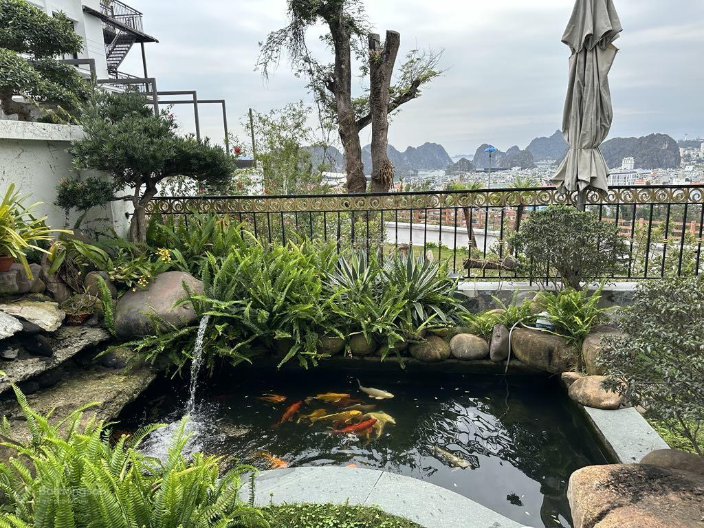 Cho thuê biệt thự flc hạ long  view biển cực đẹp, full nội thất cao cấp, giá chỉ 35 triệu/tháng