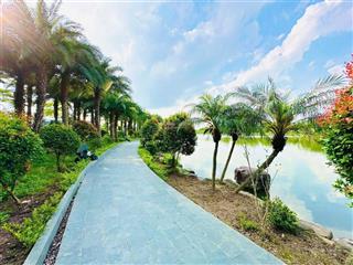 Chính chủ cần tiền bán cắt lỗ biệt thự tại kđt từ sơn garden city, 41 triệu / m2, 390 m2