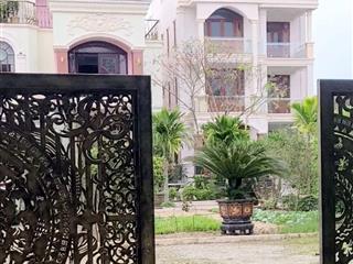 Hotel  homestay  villa view lúa an mỹ, lê thánh tông, cẩm châu đang bán