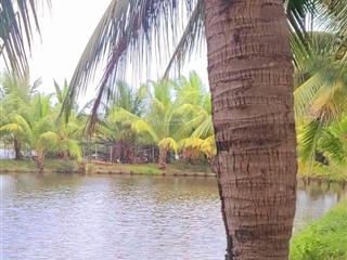 Bán đất làng rau trà quế hoi an cách biển an bàng 400m