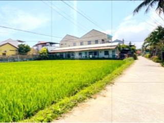 View lúa view sông an mỹ, cẩm châu, hội an