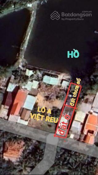 Làng rau trà quế hội an view lúa