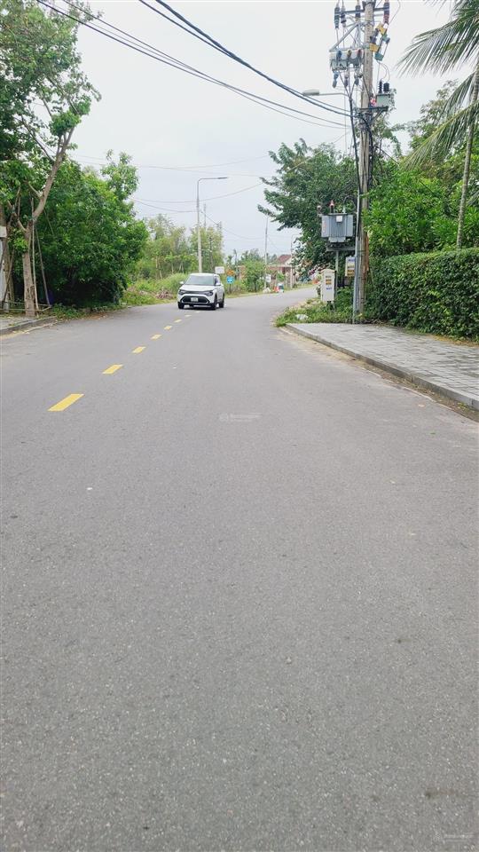 Làng rau trà quế hội an view lúa