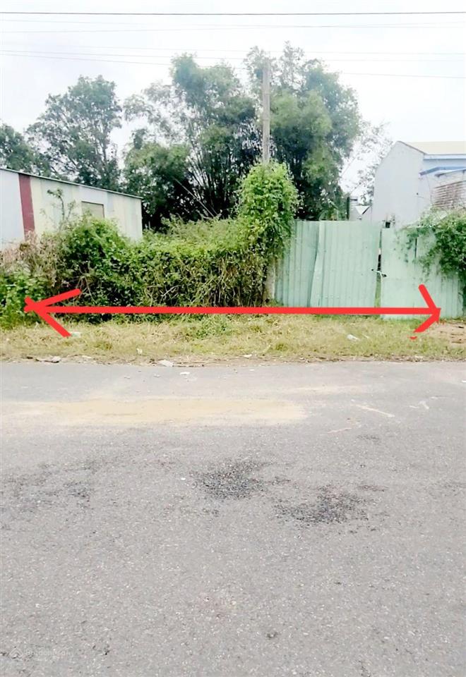 Làng rau trà quế hội an view lúa