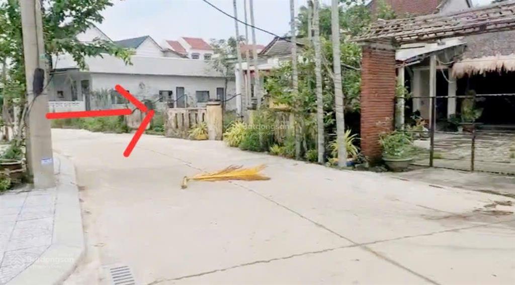 Làng rau trà quế hội an view lúa