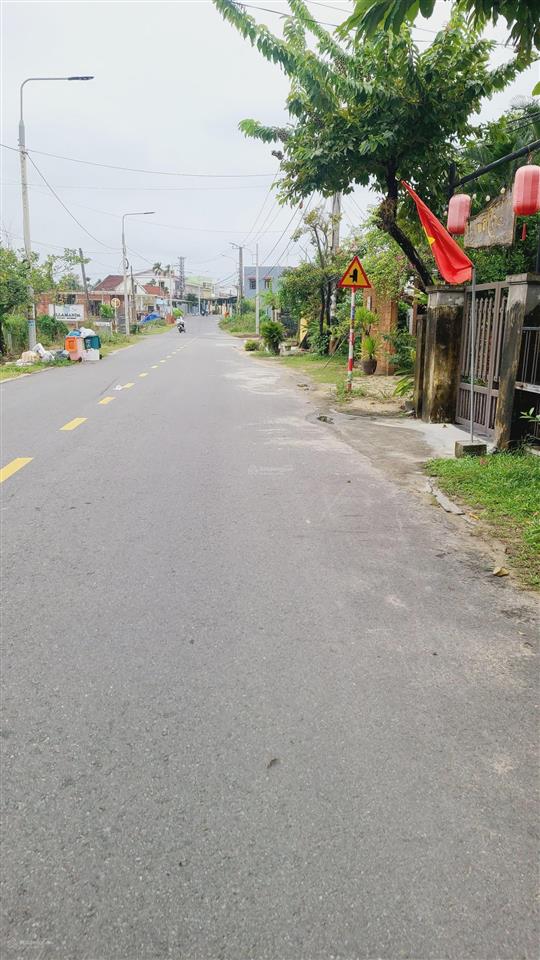 Làng rau trà quế hội an view lúa