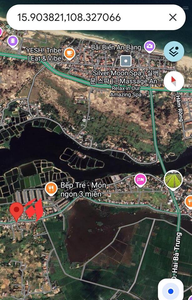 Làng rau trà quế hội an view lúa