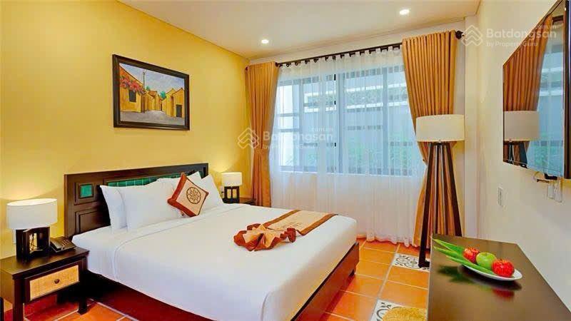 Villa home view lúa hồ cánh đồng hội an