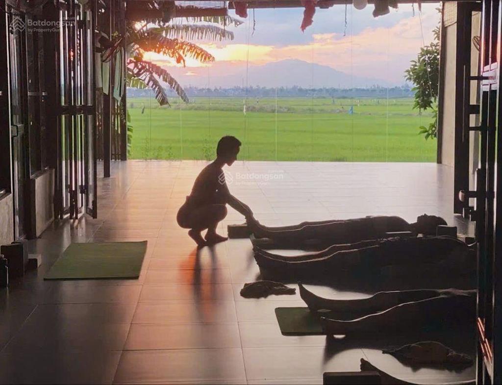 Villa home view lúa hồ cánh đồng hội an