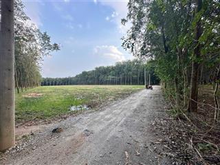 Bán đất chánh phú hòa, bến cát, bình dương,  0337 999 ***