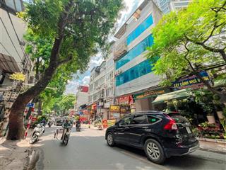 Mặt phố hoàng hoa thám dt 65m2x5t thang máy  mt 3.5m 5 nổi 1 hầm thông sàn kinh doanh sầm uất