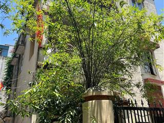 Bán nhà xuân diệu dtich50mx5tẫngmt4.2m giá 20.5tỷlô gócđường trướ nhà oto tránh30m ra hồ tây