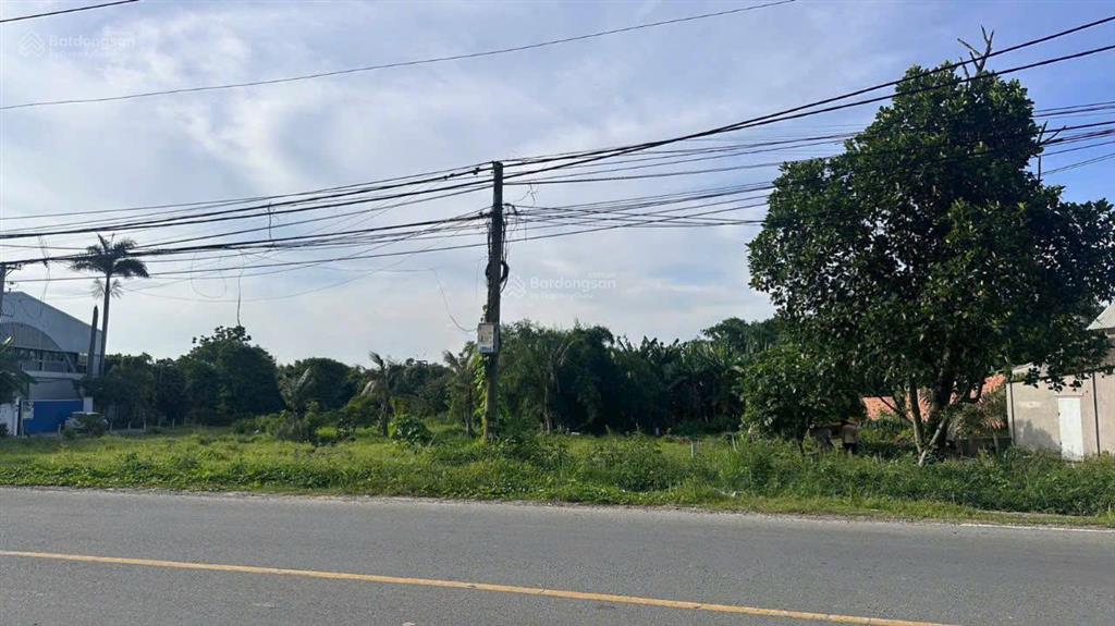 Chủ ngộp cần ra đi nhanh lô đất 206m2 ở thái mỹ củ chi. giá siêu ngộp 300 triệu