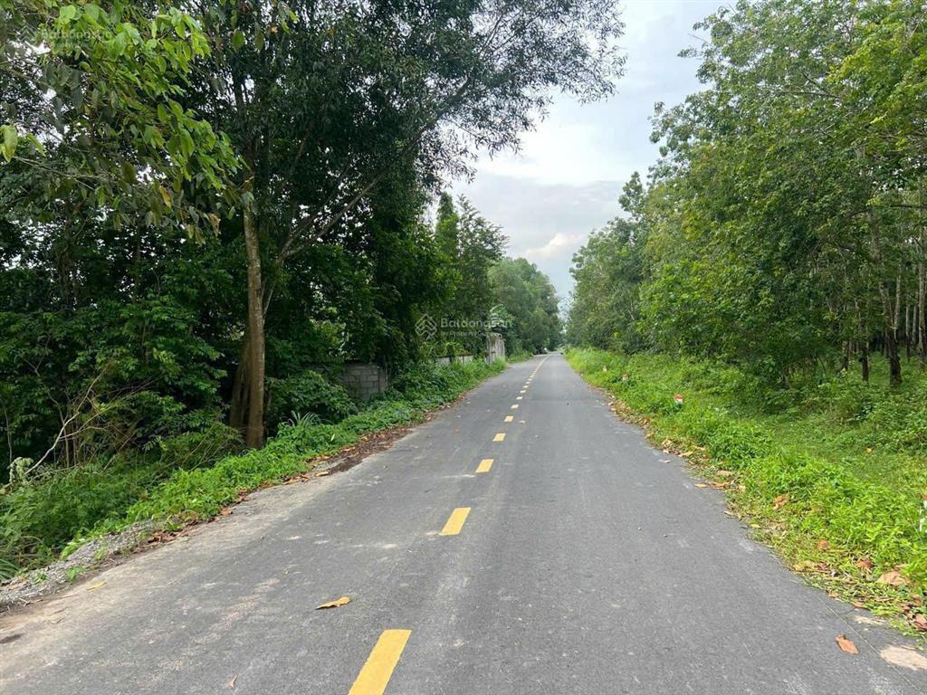 Ngộp ngân hàng! cần bán gấp lô đất 242m2. giá 690 triệu. ngay trung tâm xã phạm văn cội, củ chi