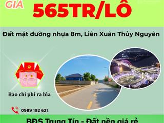 Bán đất tại xã liên xuân, thủy nguyên, hải phòng, 565 triệu, 65 m2