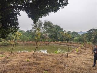 Bán đất 5200m2 giá thbán đất 5200m2 giá thỏa thuận tại xã ngọc thanh, phúc yên, vĩnh phúc, view đẹp